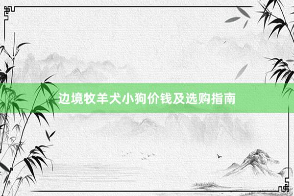 边境牧羊犬小狗价钱及选购指南